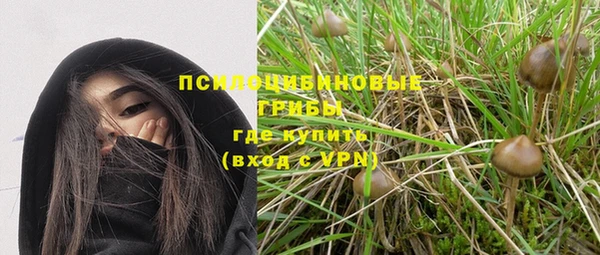 прущая мука Горняк