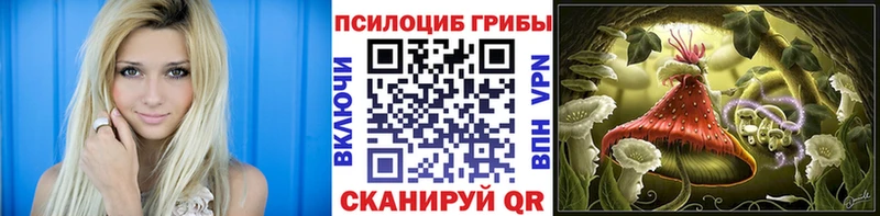 купить наркотики сайты  Брянск  Галлюциногенные грибы мицелий 